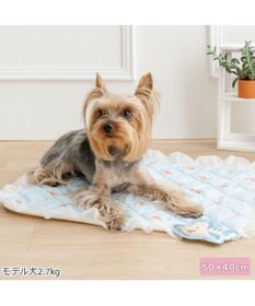 PET PARADISE ディズニー リトルマーメイド アリエル クールマット