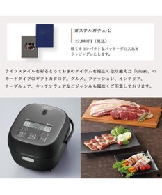 PRESENTERS ROOM uluao(ウルアオ) e-order choice(カードカタログ) ＜ガステルガチェ カード＞