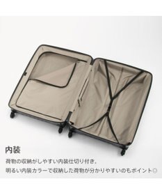ACE BAGS & LUGGAGE Proteca トリアクシス3 スーツケース 132L 大容量 02495 プロテカ