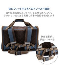 PET PARADISE スヌーピー ワッペン 折り畳み リュック