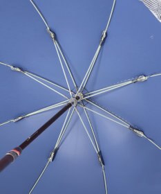 MOONBAT 【遮光/晴雨兼用】POLO RALPH LAUREN （ポロラルフローレン） 長傘 晴雨兼用日傘 ストライプフリル 遮光 遮熱 UV