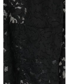 Green Parks ・ＳＵＧＡＲ　ＳＰＯＯＮ　シアージャカードジャケット