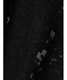 Green Parks ・ＳＵＧＡＲ　ＳＰＯＯＮ　シアージャカードジャケット