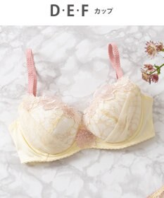 Wing Wing Lesiage　【2720シリーズ】ブラジャー　シアー感のあるラグジュアリーなデザイン　ウイング／ワコール　PB2720