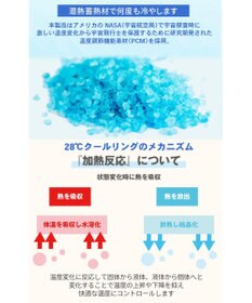 PET PARADISE ペットパラダイス 28℃クールリング 《いちご》 ３Ｓ 小型犬