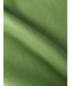 Green Parks ＦＡＮＴＡＳＩＡ／ポスタープリント裏毛プルオーバー