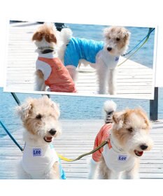 PET PARADISE Ｌｅｅ つなぎ風  ロンパース 【小型犬】《ブルー/オレンジ》クールマックスエコメイド