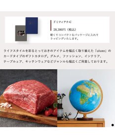 PRESENTERS ROOM uluao(ウルアオ) e-order choice(カードカタログ) ＜ドミツィアナ カード＞