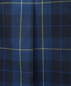 earth music&ecology ミックスプリーツスカート（Ｃｈｅｃｋ）