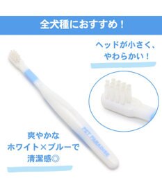 PET PARADISE 【ネット店限定】ペット用品  曲がる 歯ブラシ ２本セット  全犬種対応
