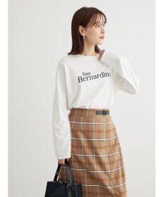 Green Parks コンパクトロゴロンＴ