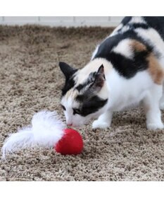 PET PARADISE ペットパラダイス 猫 羊毛ボール 羽付き 【単品】