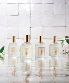 TOCCA DRY BODY OIL ボディーオイル