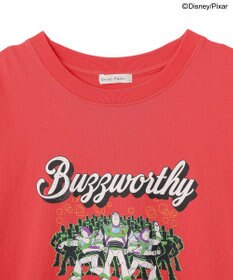 Green Parks トイストーリー／ウ゛ィンテージ風Ｔシャツ