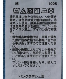 Green Parks 小さめカレッジボックスＴシャツ