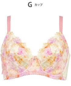 Wing ブラジャー 小さく見せるブラ Wing Lesiage 脇すっきり 背中すっきり 【2900シリーズ】 ブラ PB2901 ウイング／ワコール