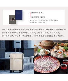 PRESENTERS ROOM uluao(ウルアオ) e-order choice(カードカタログ) ＜カテレイネ カード＞