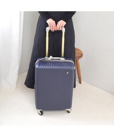 ACE BAGS & LUGGAGE 【雑誌掲載】 HaNT×Jewelna Rose コラボ スーツケース 機内持ち込み 06821 ハント ジュエルナローズ