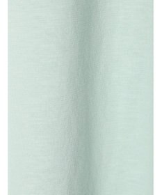 Green Parks ■Ｃｈａｍｐｉｏｎ　フットボールＴ