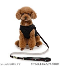 PET PARADISE J.PRESS リード 《ブラック》 ４Ｓ～３Ｓ
