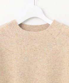 J.PRESS LADIES 【WEB限定・洗える】WOOLY NEP クルーネックニット