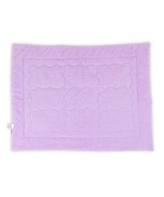 PET PARADISE ディズニー ズートピア もちっと ボア ブランケット