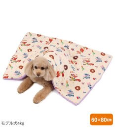 PET PARADISE ディズニー ズートピア もちっと ボア ブランケット