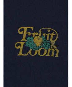 Green Parks ■ＦＲＵＩＴ　ＯＦ　ＴＨＥ　ＬＯＯＭ　ロゴパーカー