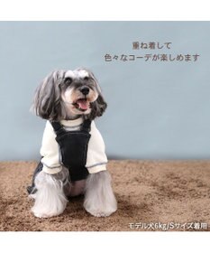 PET PARADISE Lee ステッチ トレーナー 《ホワイト》 小型犬
