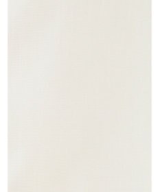 Green Parks armonia.ビスチェセットシャツチュニック