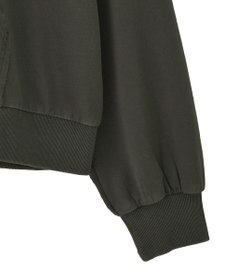 Green Parks ピグメントパーカー