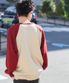 WEGO ラグランジャガードグラフィックプルオーバー