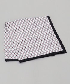 GOTAIRIKU 日本製【シルク100％】シーズナルチーフ