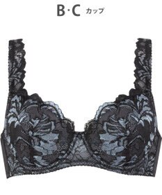 Wing Wing Lesiage 【3000シリーズ】 PB3000 ウイング／ワコール