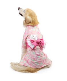 PET PARADISE ペットパラダイス 絞り風 浴衣 《朝顔》 中型犬 大型犬
