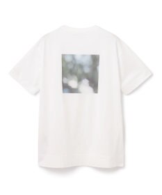 BEIGE， ARMAND / Tシャツ