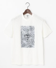 JOSEPH ABBOUD MOUNTAIN 【UNISEX】スラブリーフプリント Tシャツ