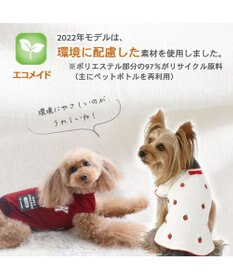 PET PARADISE 犬 服 Tシャツ 【小型犬】 プレミアム ペティーヒート カレッジ 赤