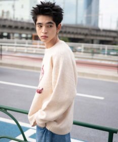 WEGO 【ユニセックス着用ITEM/MLサイズ展開】シャギーグラフィックプルオーバー