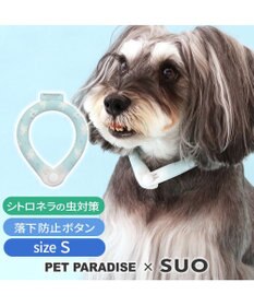 PET PARADISE ペットパラダイス 28℃クールリング SUO 《くま柄》 〔Ｓ〕 小型犬