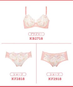 Wing ブラジャー 背中の段差をスムージング バストの脇流れをブロック 脇高設計(バック) 【後ろ姿きれいブラ】 ブラ KB2718 ウイング／ワコール