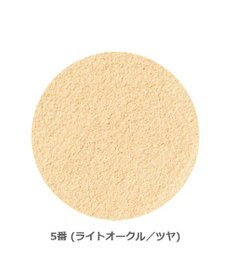 YA-MAN オンリーミネラル　ファンデーション 5g　ツヤタイプ