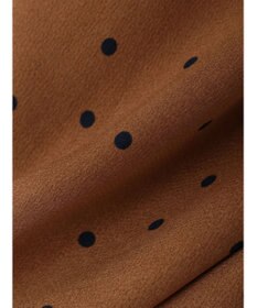 Green Parks Ｂ．ドットリボンブラウス