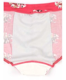 une nana cool 2026年お年賀「まるっとうまくいく」 ナイト用サニタリーショーツ