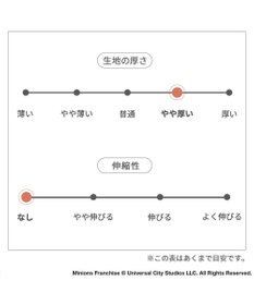 PET PARADISE ミニオン ティム オーバーオール パンツ付きつなぎ 小型犬