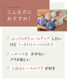 Wing ブラジャー 自然なまるみシルエット ソフトなつけごこち 【ナチュラルアップブラ】 ブラ KB2062 ウイング／ワコール