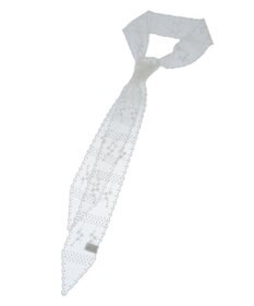 earth music&ecology レースタイ