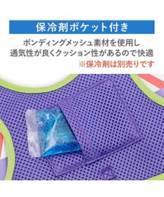 PET PARADISE ディズニー トイ・ストーリー バズ ベストハーネス Ｓ