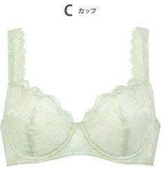 Wing Wing Lesiage 【3000シリーズ】 PB3000 ウイング／ワコール