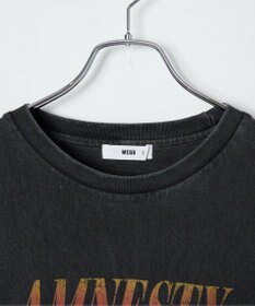 WEGO ピグメントロンT